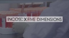 <b>只500最新版本下载_五维时空FIVE DIMENSIONS 有赞商城</b>