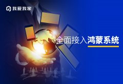 大只500彩_参与鸿蒙生态建设